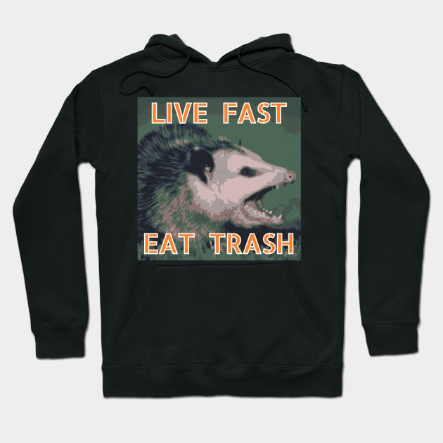 Possum: Live Fast, Eat Trash Hoodie by nonbeenarydesigns